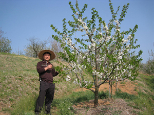 원예 최고 전문가 김정필 과장의 끊없는 도전