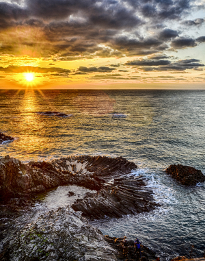 붉은 해야, 희망찬 새해와 함께 불끈 솟아라!