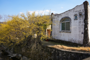“아름다운 꽃 구경과 봄을 만끽하러 경주로 오세요”