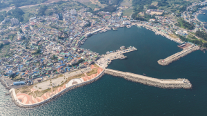 동해안 수산물 물류 핵심 경주 감포항, 100주년 맞이했다