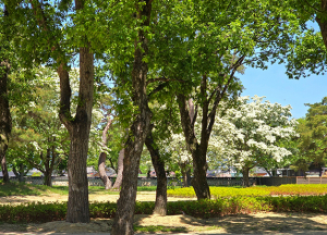 자연과 문화가 어우러진 경주, 5월 여행지로 ‘최고’