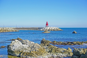 ‘7월의 여름, 경주에 놀러오세요!