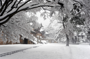 설 연휴, ‘APEC 통해 세계 시선 머문 경주에서 보내세요’