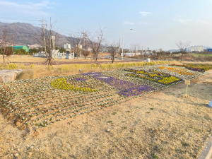 외동읍, 호국동산에 경주 상징 문양 봄꽃 단장 ‘눈길’