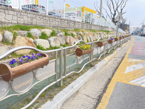 외동읍, 꽃길 조성으로 산뜻한 봄 풍경 선사